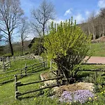 Casa Viva