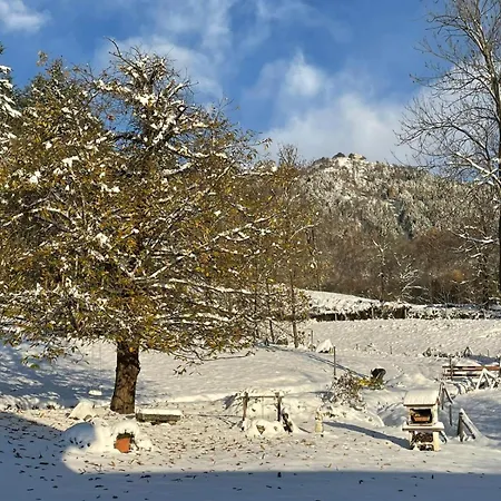 Casa Viva Bed & Breakfast