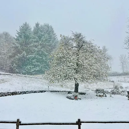 Bed & Breakfast Casa Viva 3*