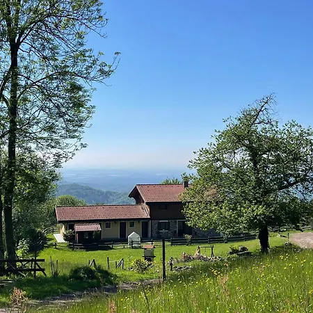 Casa Viva