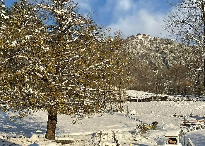 Casa Viva Frühstückspension