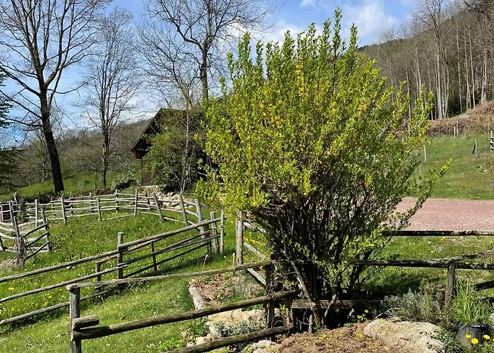 Casa Viva
